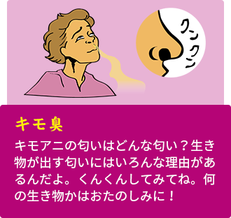 キモ臭 キモアニの匂いはどんな匂い?生き物が出す匂いにはいろんな理由があるんだよ。くんくんしてみてね。何の生き物かはおたのしみに!