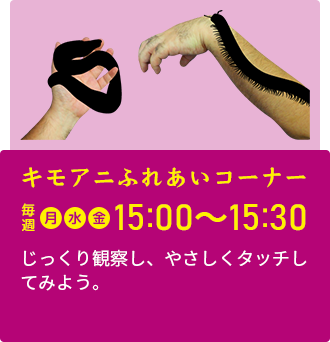 キモアニふれあいコーナー 毎週月・金曜開催 15:00~15:30