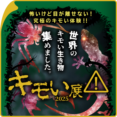 キモいには理由がある　キモい展2025