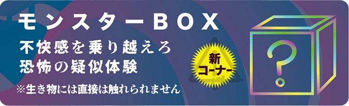 モンスターBOX　不快感を乗り越えろ　恐怖の疑似体験