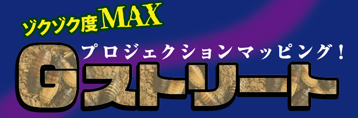 ゾクゾク度MAX プロジェクションマッピング!Gストリート