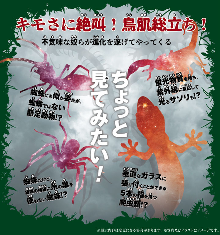 ちょっと見てみたい！