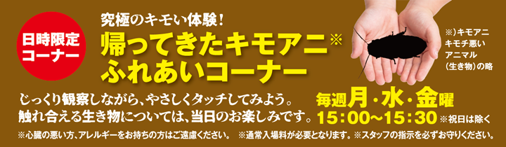 日時限定コーナー 究極のキモい体験! 帰ってきたキモアニふれあいコーナー じっくり観察しながら、やさしくタッチしてみよう。触れ合える生き物については、当日のお楽しみです。毎週月・水・金曜 15:00~15:30 ※祝日は除く ※心臓の悪い方、アレルギーをお持ちの方はご遠慮ください。※通常入場料が必要となります。※スタッフの指示を必ずお守りください。