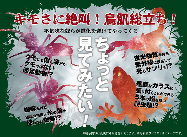 ちょっと見てみたい!