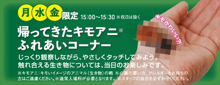 帰ってきたキモアニ　ふれあいコーナー　月・水・金　限定　15:00～15:30 ※祝日は除く　じっくり観察しながら、やさしくタッチしてみよう。触れ合える生き物については、当日のお楽しみです。※キモアニ：キモいイメージのアニマル（生き物）の略　※心臓の悪い方、アレルギーをお持ちの方はご遠慮ください。※通常入場料が必要となります。※スタッフの指示を必ずお守りください。